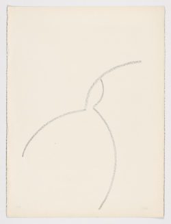 El cuerpo humano, Andreu Alfaro