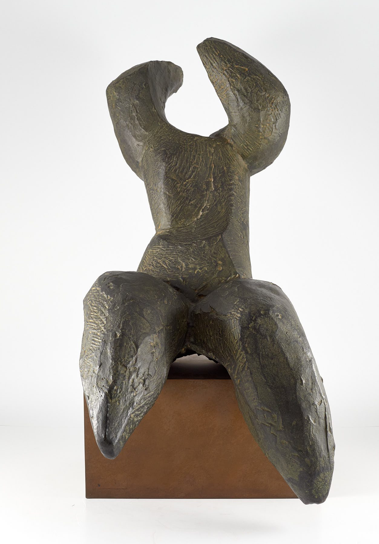 Torso con los Brazos Levantados, ca. 1997, Joaquín García Donaire