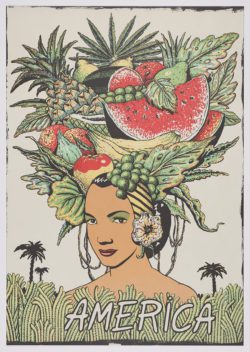 Cinco Continentes: América, 2012, Fernando Bellver