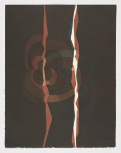 La noche y la llama (VIII), Amadeo Gabino