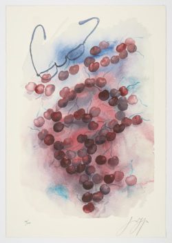 Mis gafas en tiempo de cerezas, 2001, Günter Grass