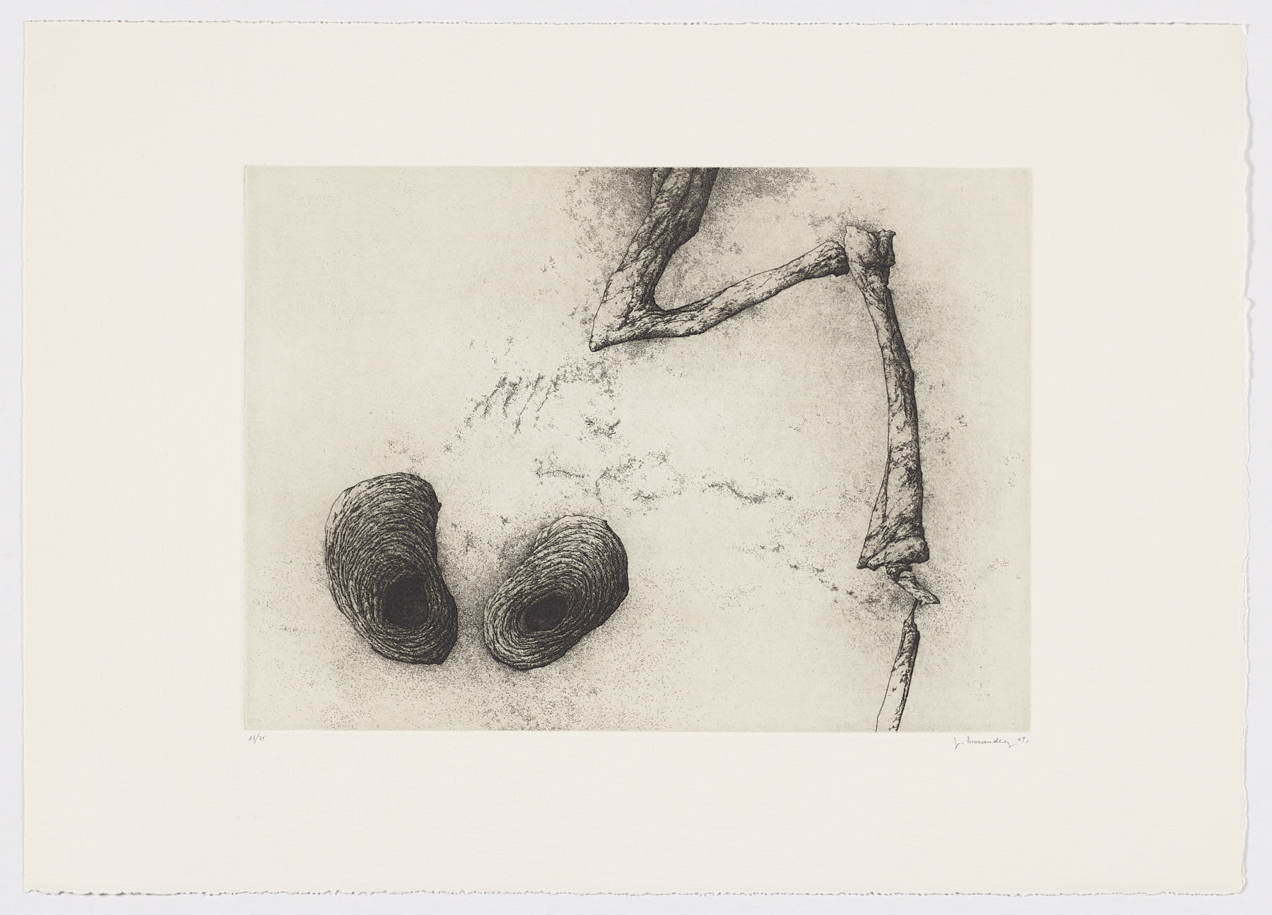 Disparate de Fuendetodos, 2009, José Hernández