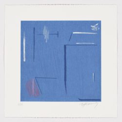 Secretos marinos III, Albert Rafols-Casamada