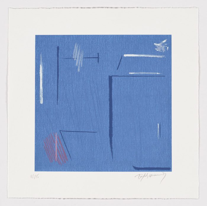 Secretos marinos III, Albert Rafols-Casamada