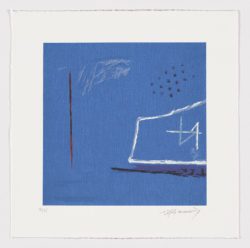 Secretos marinos II, Albert Rafols-Casamada