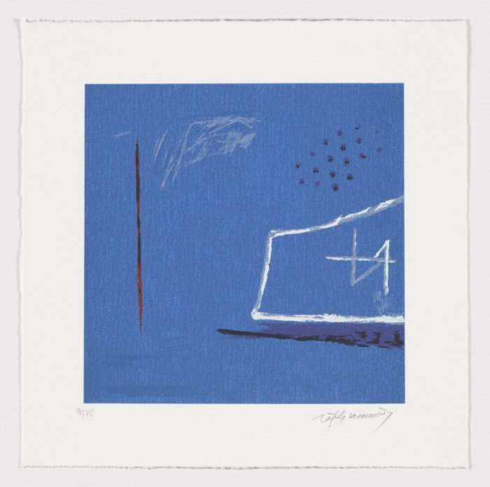 Secretos marinos II, Albert Rafols-Casamada