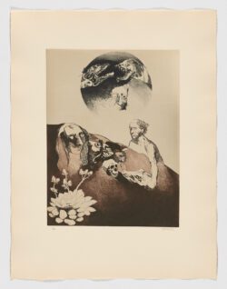 Fábula de Polifemo y Galatea X