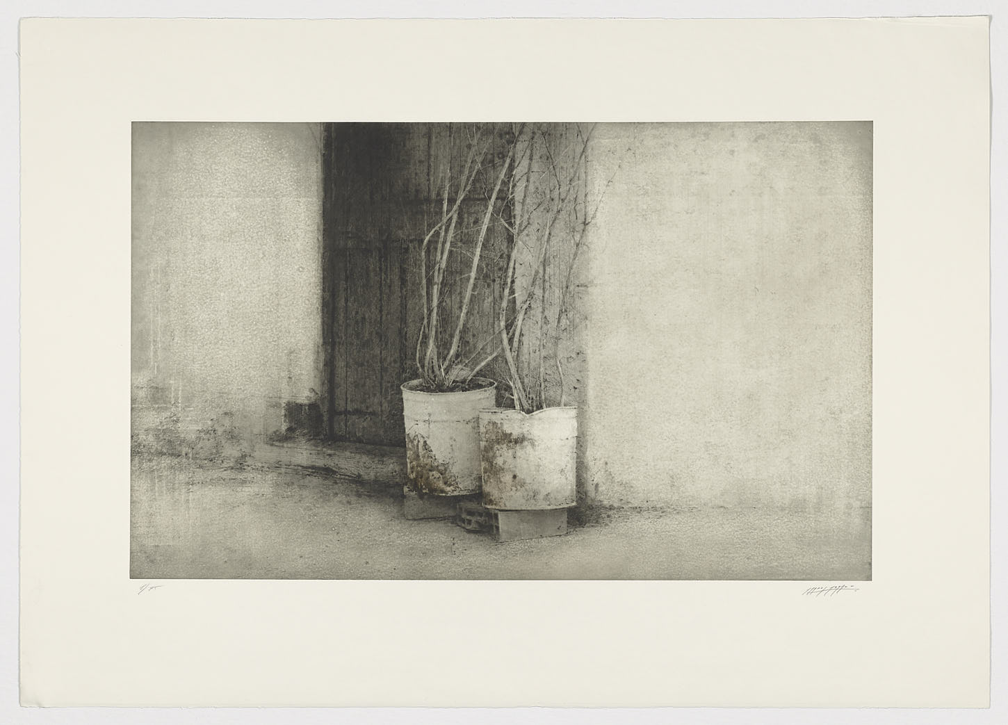 Dos macetas, 2010, Carlos Morago