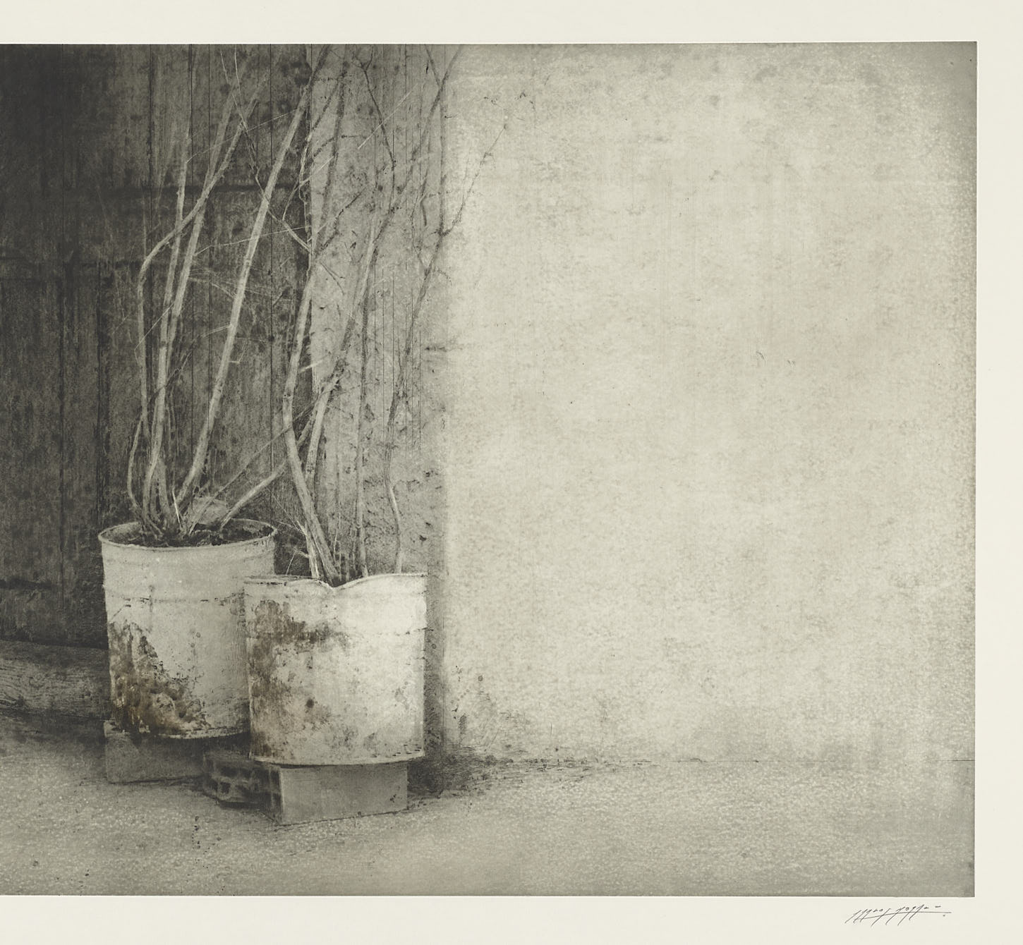 Dos macetas, 2010, Carlos Morago