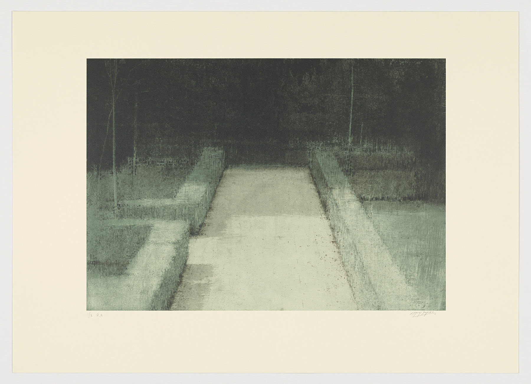 Serie jardines II, 2014, Carlos Morago