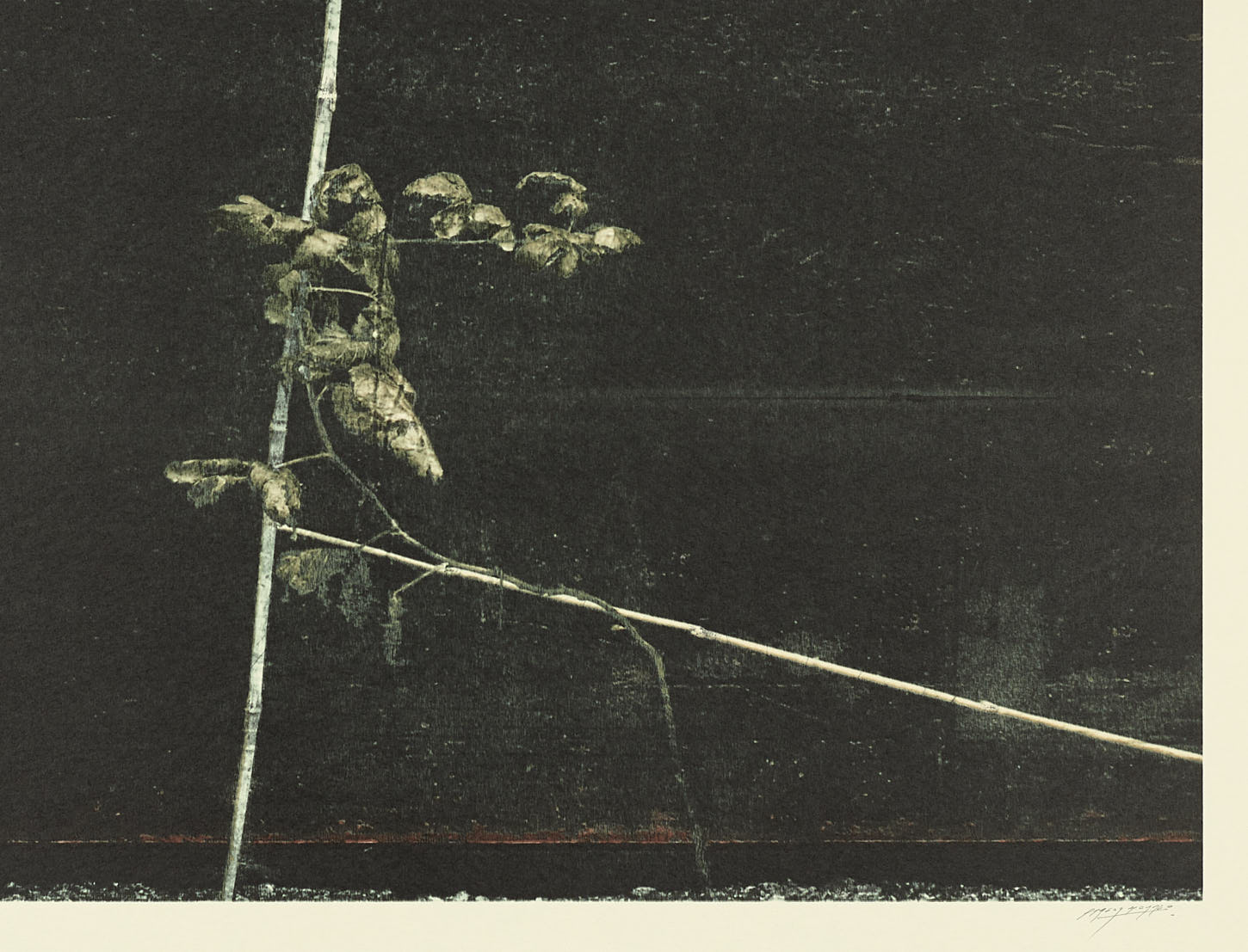 Serie jardines I, 2014, Carlos Morago