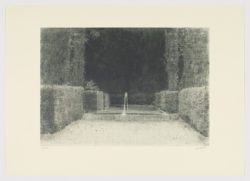 Serie jardines III, 2014, Carlos Morago