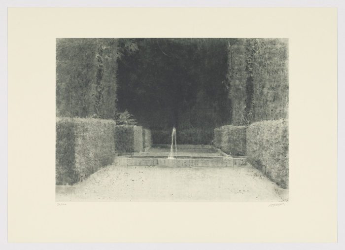 Serie jardines III, 2014, Carlos Morago