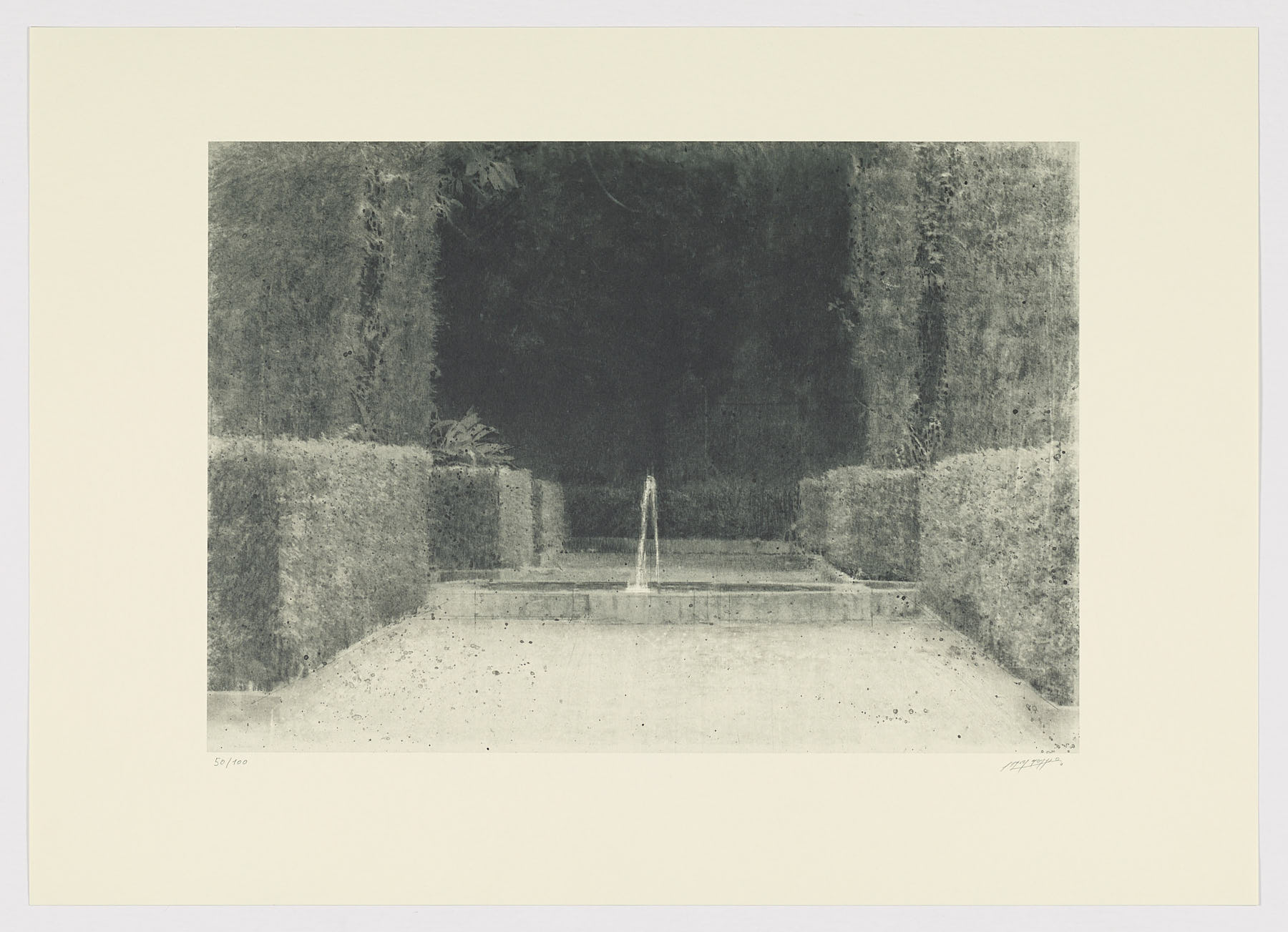 Serie jardines III, 2014, Carlos Morago