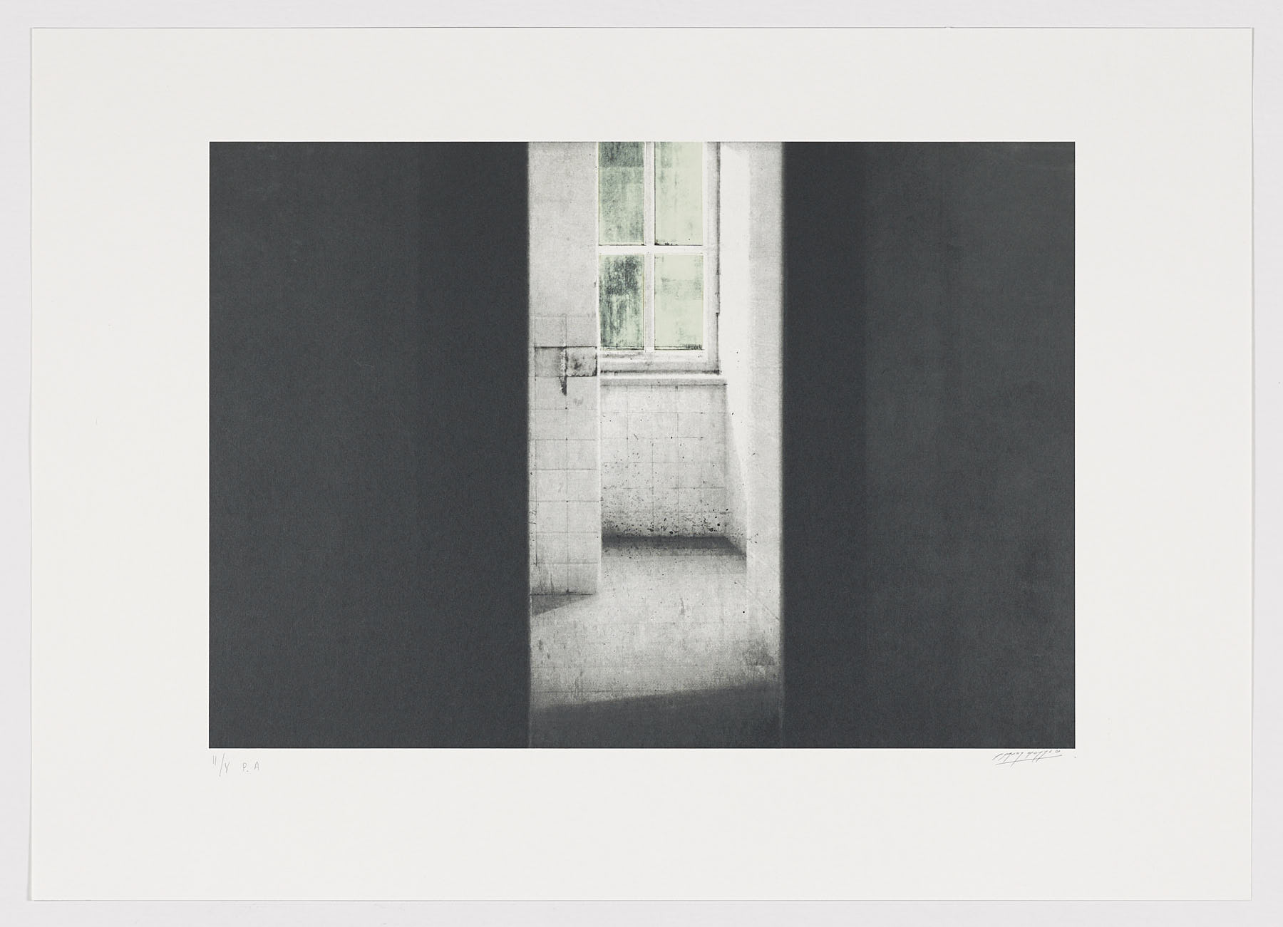 Serie jardines III, 2014, Carlos Morago