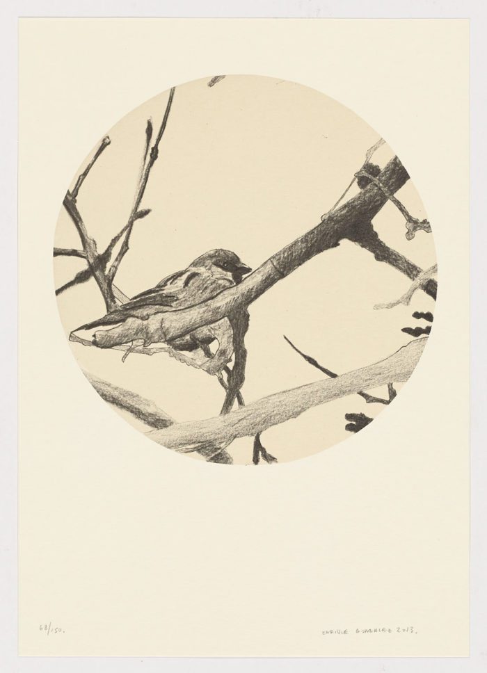 Pájaro en la rama, Enrique González