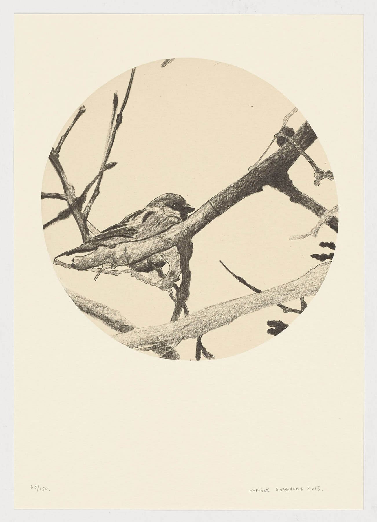 Pájaro en la rama, Enrique González