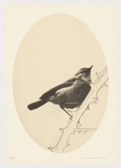 Pájaro sobre zarza, Enrique González