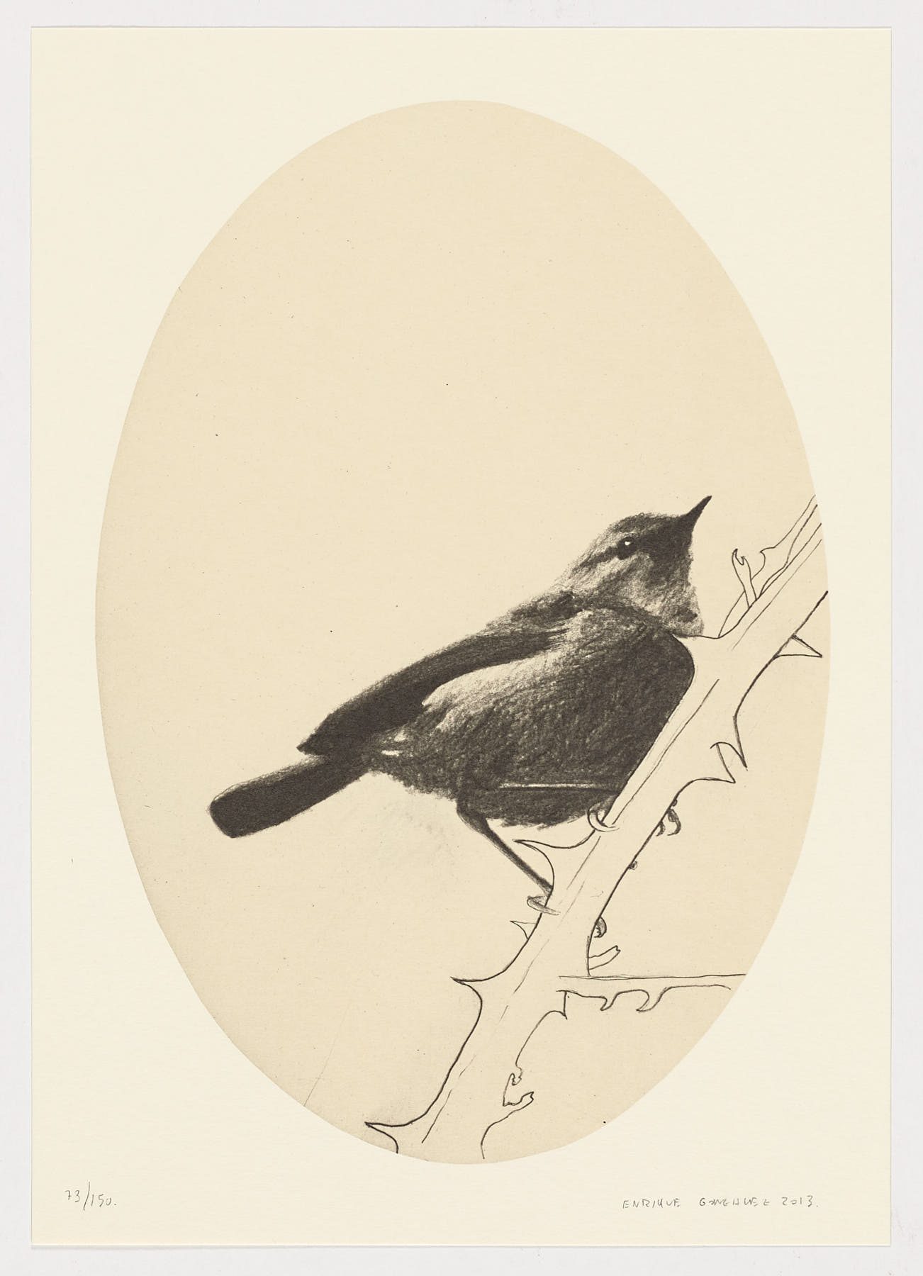 Pájaro sobre zarza, Enrique González