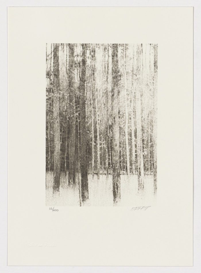 Árboles (fragmento III), Carlos Morago