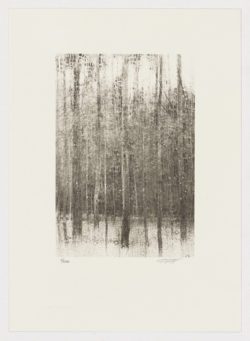 Árboles (fragmento II), Carlos Morago