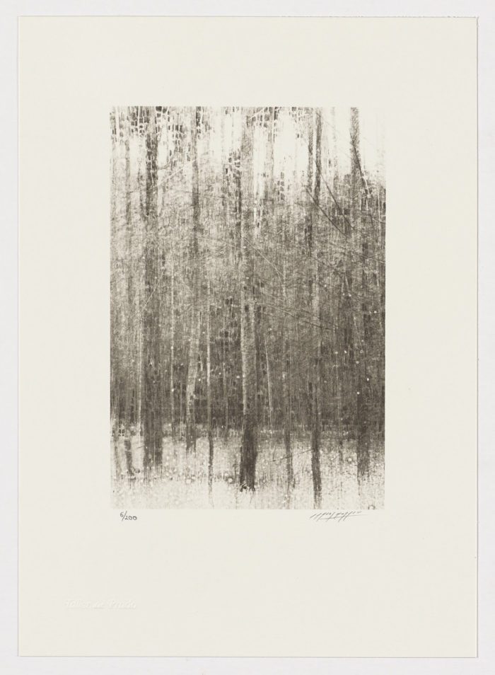 Árboles (fragmento II), Carlos Morago