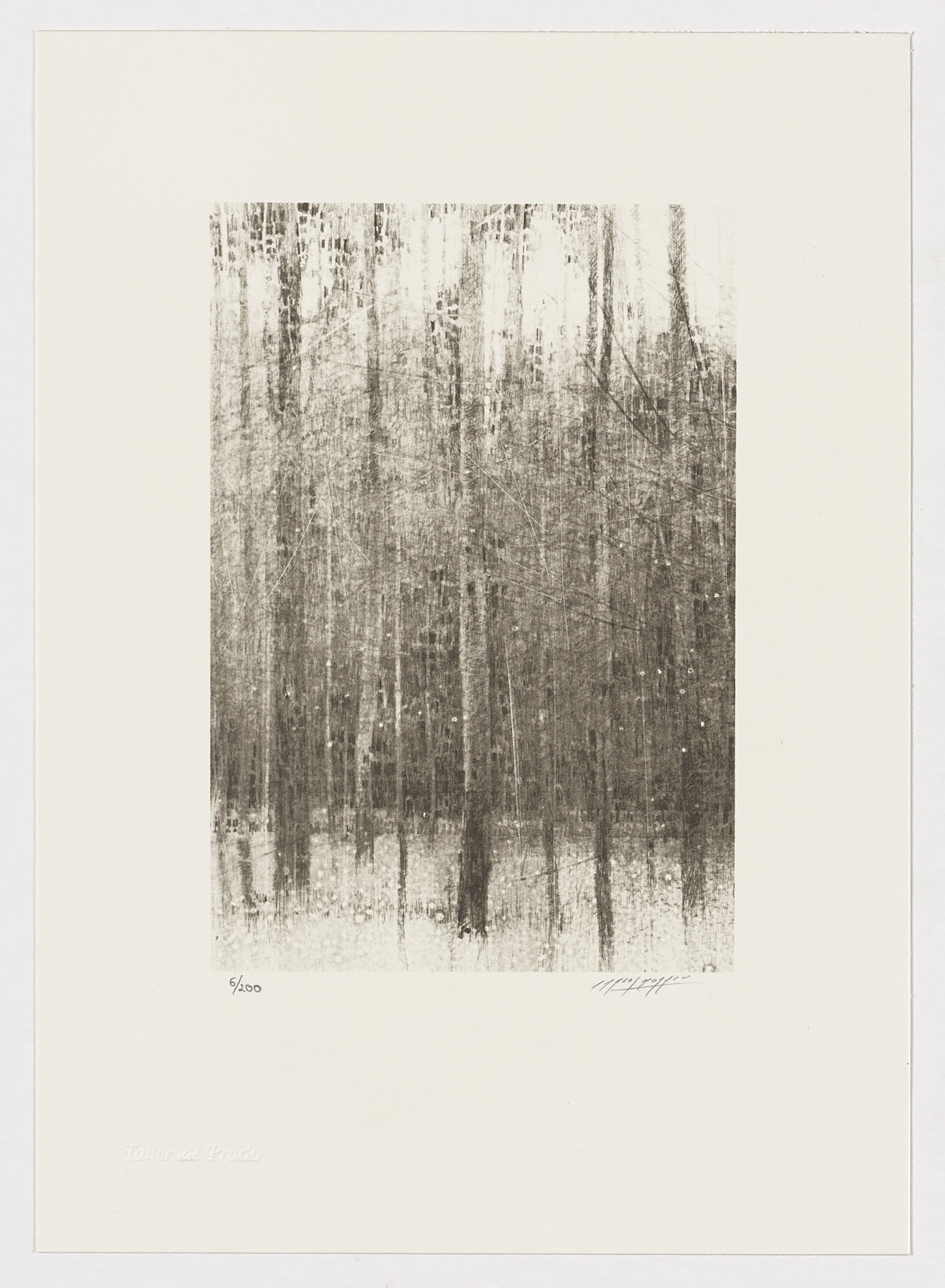 Árboles (fragmento II), Carlos Morago