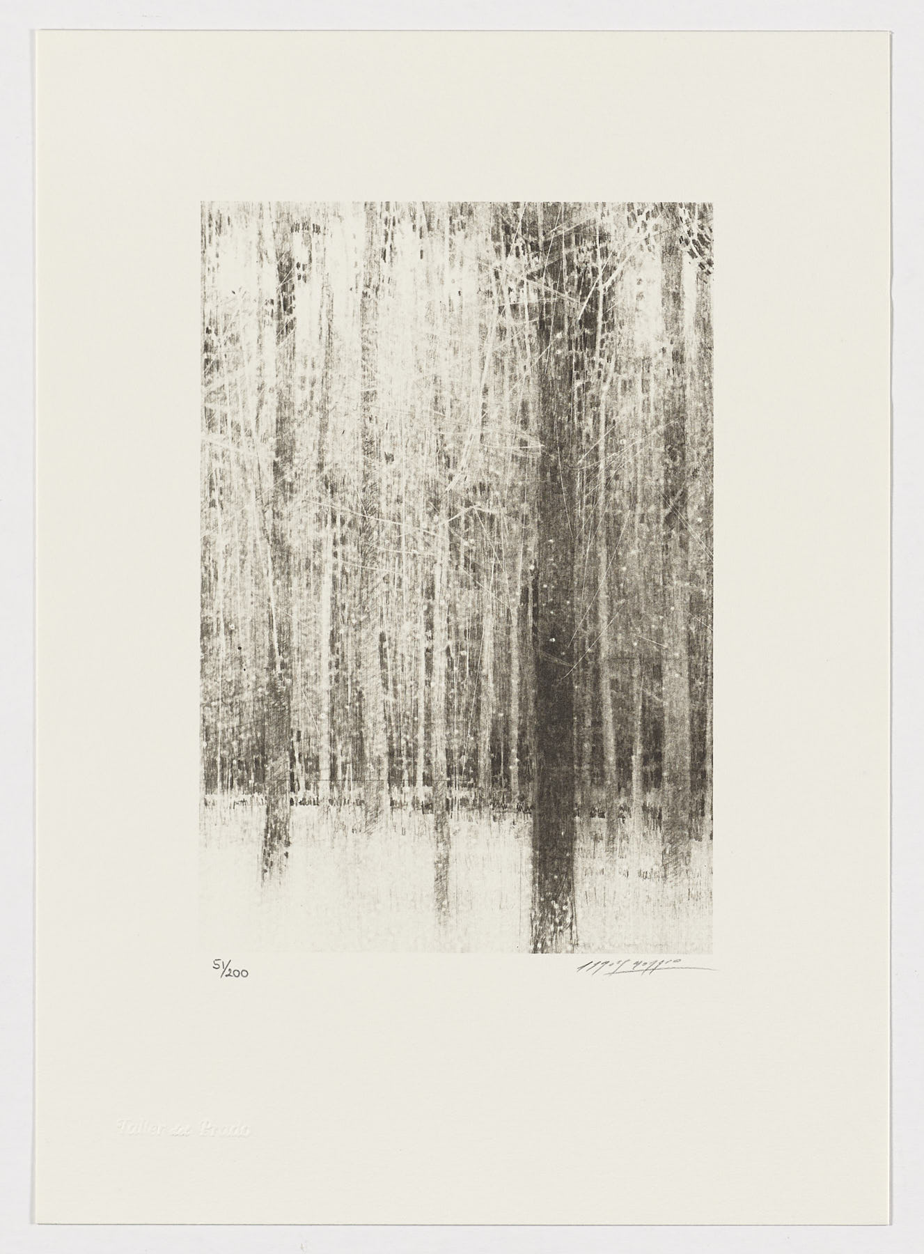 Árboles (fragmento I), Carlos Morago