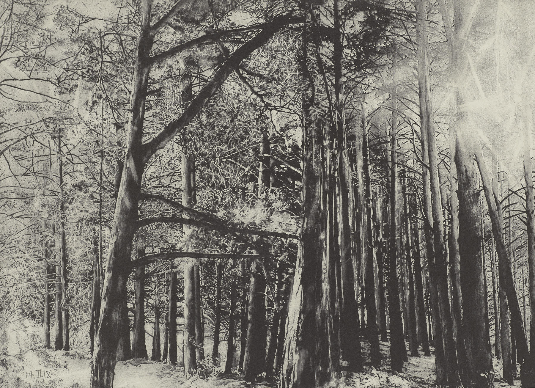 Continuidad de los bosques I (Díptico), Juan Lara