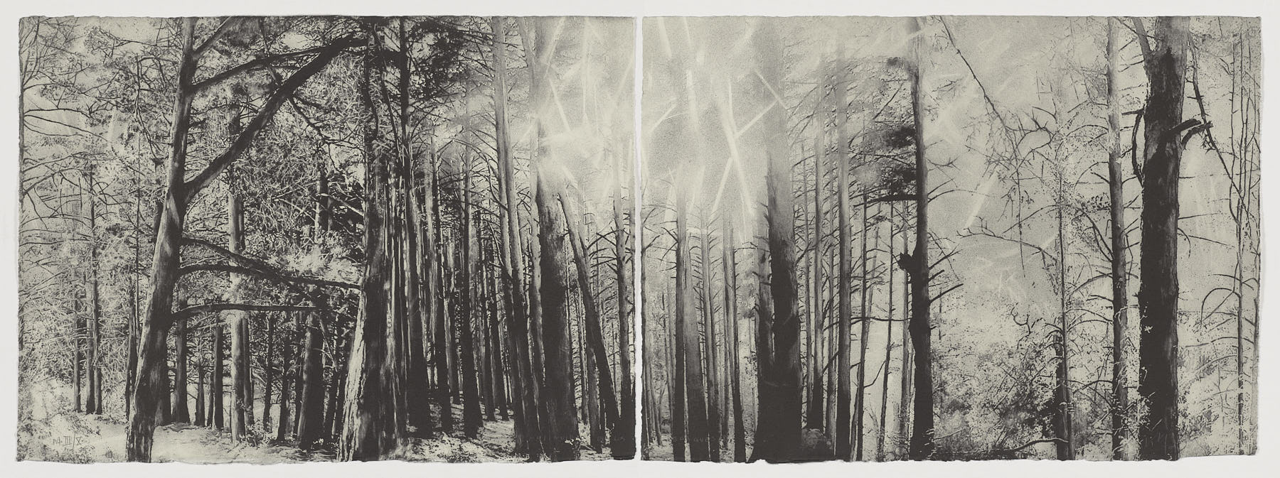 Continuidad de los bosques I (Díptico), Juan Lara