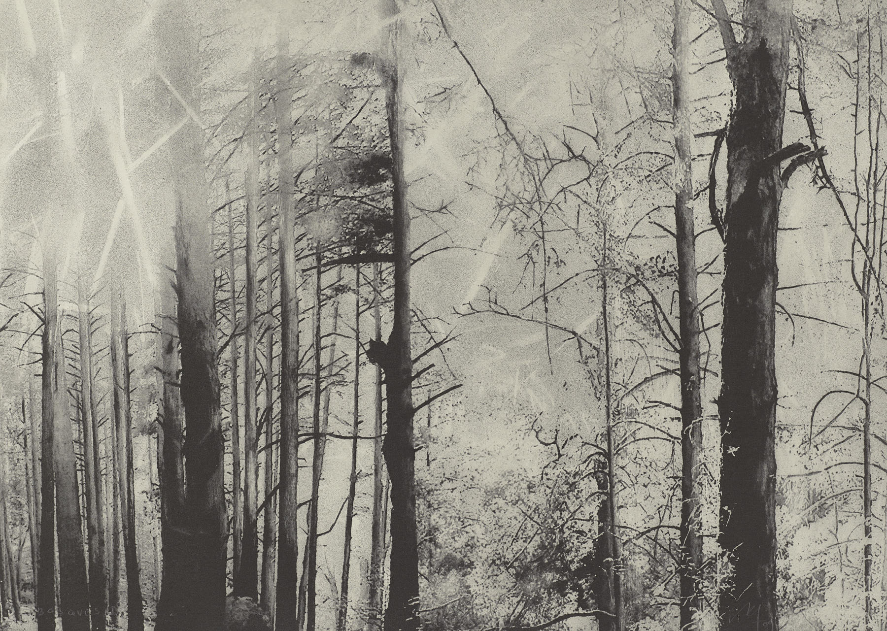 Continuidad de los bosques I (Díptico), Juan Lara