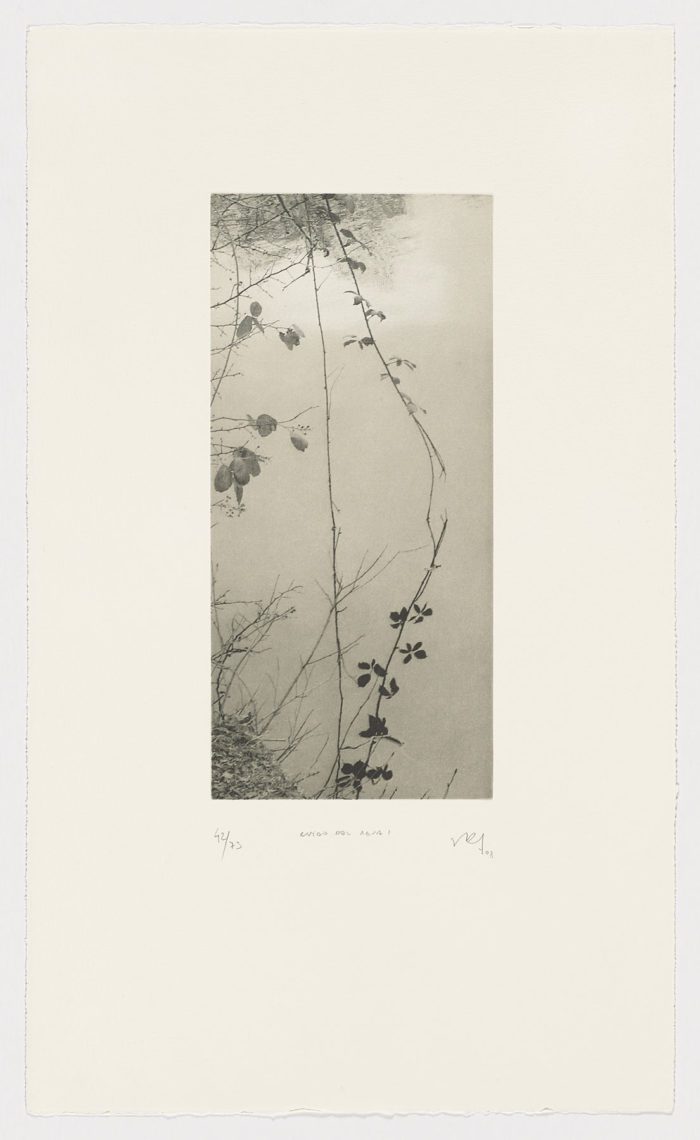 Ruido del agua I, 2008, Juan Lara