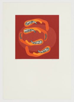 Organismos imaginados, 2017, Francisco López Soldado