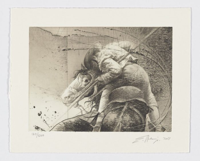 El picador II, Eduardo Naranjo