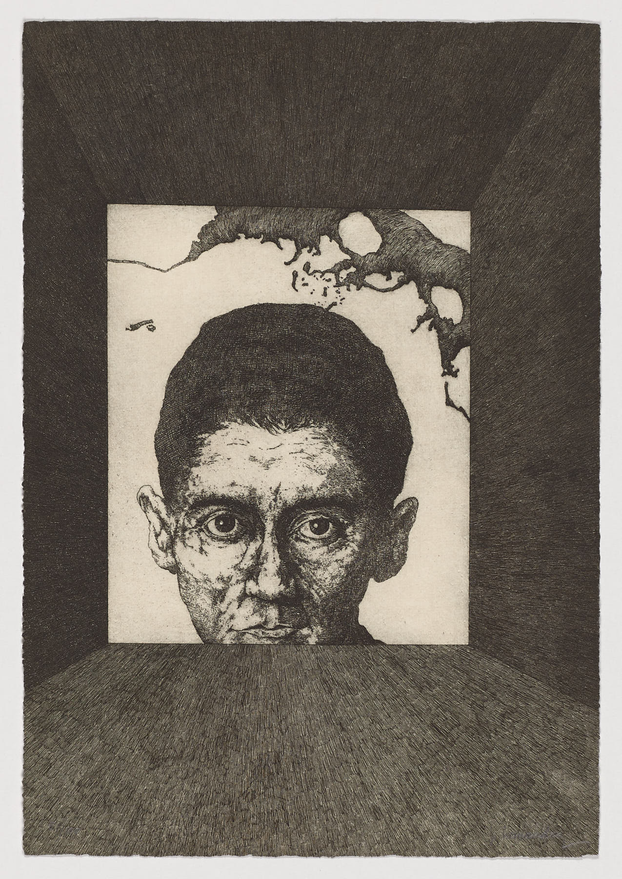 La metamorfosis, 1999, José Hernández