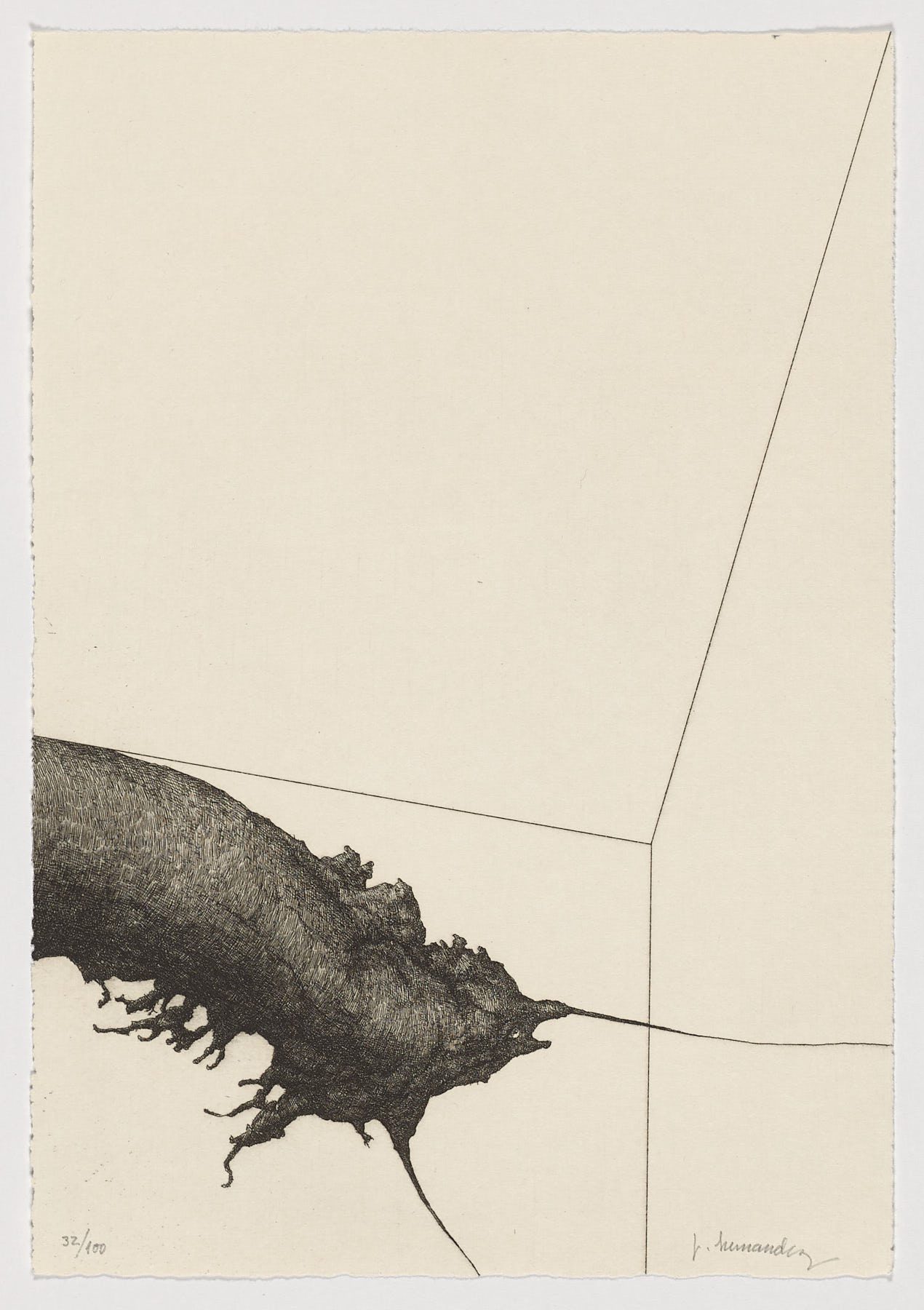 Insecto I, 1999, José Hernández