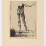 Atlas de anatomía (I)