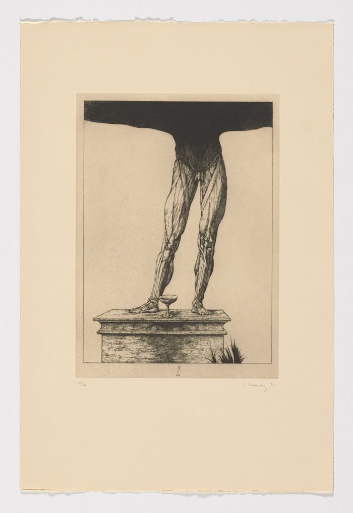 Atlas de Anatomía, (II) 1992, José Hernández - Pedro Laín Entralgo