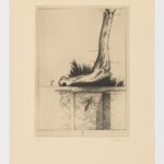 Atlas de Anatomía (III)