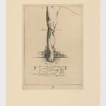 Atlas de Anatomía  (VIII)