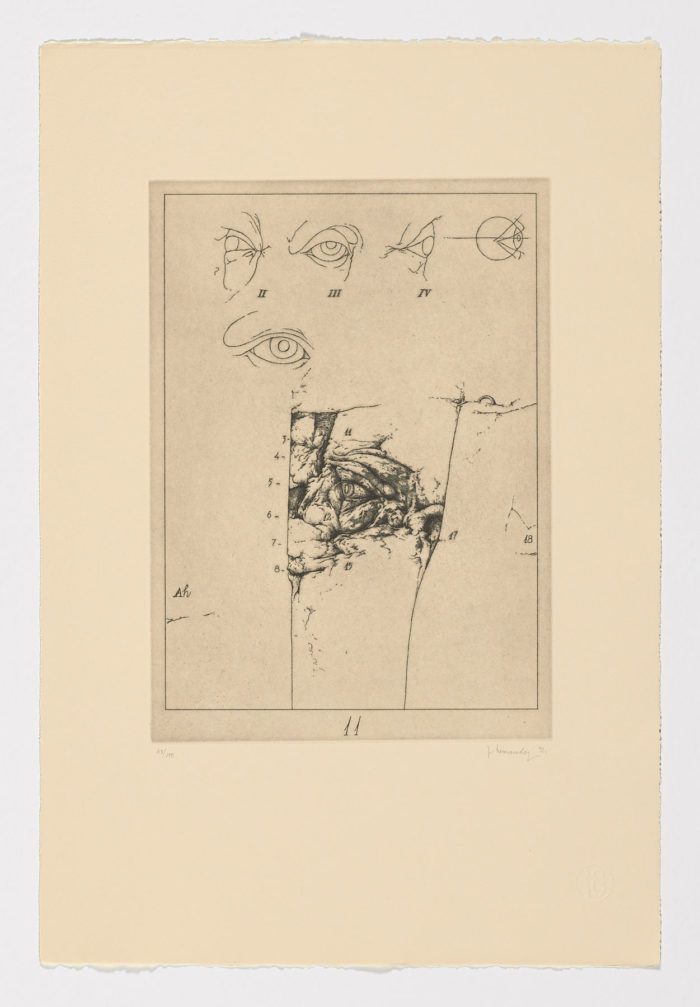 Atlas de Anatomía (XI), 1992, José Hernández - Pedro Laín Entralgo