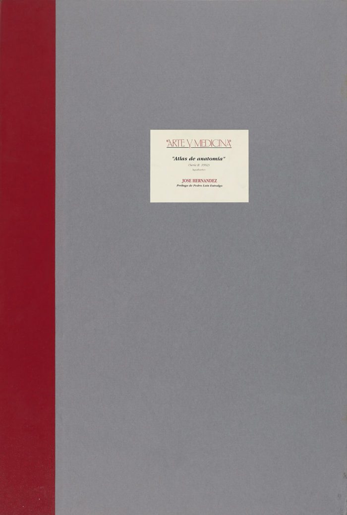 Atlas de Anatomía, 1992, José Hernández - Pedro Laín Entralgo