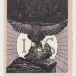 El Testamento de Don Qujote (XII)