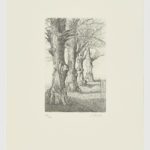 La voz del árbol (V)
