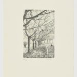 La voz del árbol (VII)