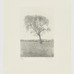 La voz del árbol (VIII)