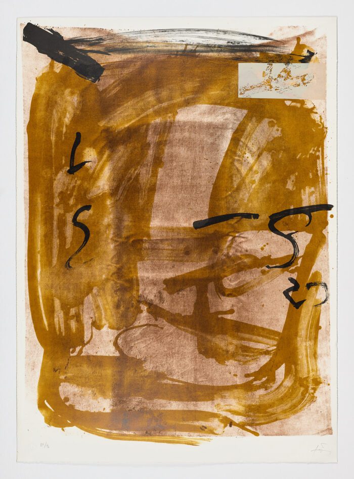 Apparitions (Variations VI), 1984, Antoni Tápies
