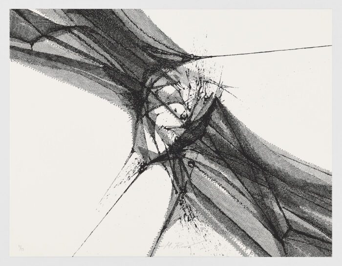 Homenaje a Goya (II), Manuel Rivera