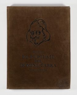 El Pupilaje de Domine Cabra, Luis García Ochoa