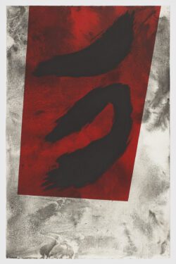 Amhurts IV, David Arteagoitia